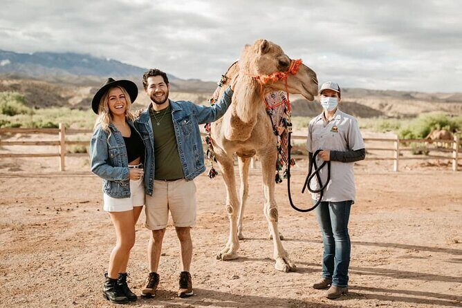 Las Vegas Safari Tram Ride and Zoo Tour at Camel Safari - What Travelers Are Saying