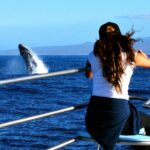 Late Morning Whale Watch Cruise from A'bay - Final Thoughts
