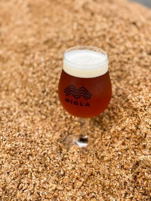 Latvian Brewery Visit & 5 Beer tasting - Practical Details and Considerations