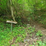 Lauterbrunnen: Private Walking Tour with an Irish Guide - Who Would Love This Tour?