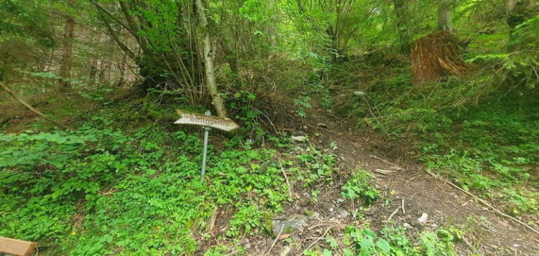 Lauterbrunnen: Private Walking Tour with an Irish Guide - Who Would Love This Tour?