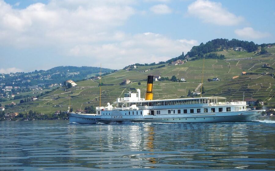 Lavaux: Vineyard Experience - What You Can Expect