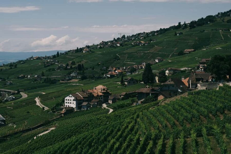 Lavaux Wine and Vineyard Experience with Boat Cruise - Who Will Love This Tour?