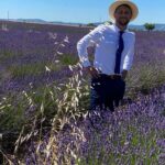 Lavender Discovery Private Tour in Provence - Discovering the Magic of Provence’s Lavender Fields