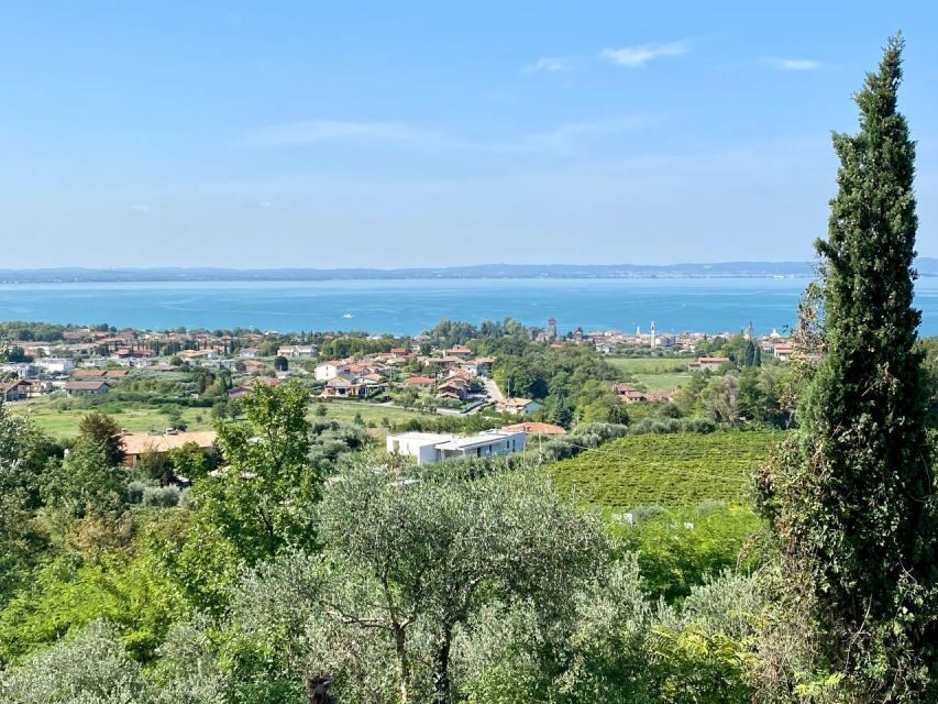 Lazise: Countryside e-Bike Tour with Wine Tasting - Practical Details & Considerations