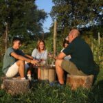 Lazise: horse carriage tour with tasting of local products - The Experience: What to Expect on the Tour