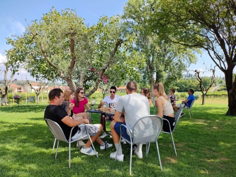 Lazise: Wine Tasting with Charcuterie and Cheese Board - What to Expect During the Tour