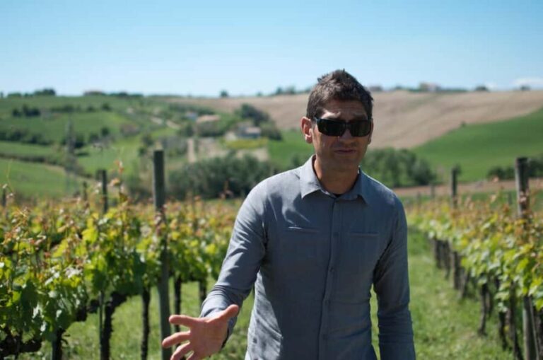Le Marche: Wine & Olive Oil Tour with Lunch and Pick-Up - The Practical Side