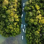 Learn Paddle Board and Explore the Mangroves of Progreso - Practical Details and Tips