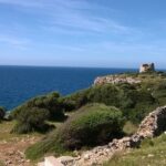 Lecce and Gallipoli Full-Day Heritage and Wine Tour - The Practicalities