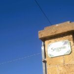 Lecce: Countryside Vineyard Walk & Wine Tasting - Who Is This Tour Best For?