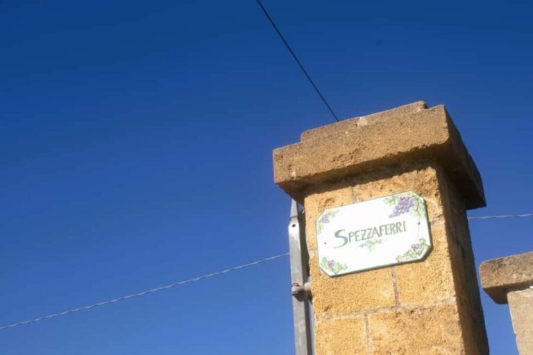 Lecce: Countryside Vineyard Walk & Wine Tasting - Who Is This Tour Best For?