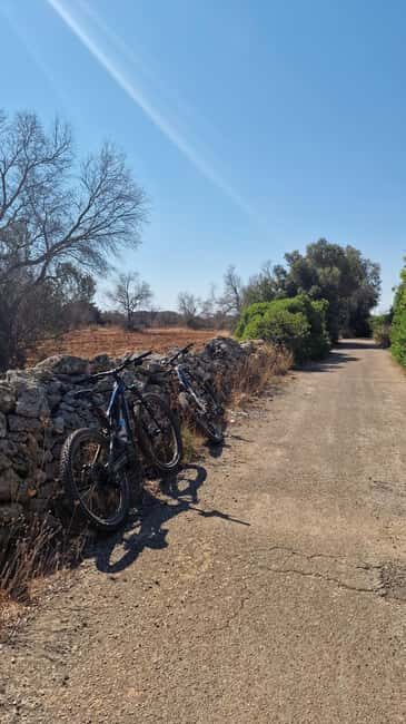 Lecce: Hidden Gems of Salento, Nardò, Galatina, and Galatone - What to Expect and Practical Tips