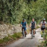 Lecce to Cesine Protected Natural Reserve Full-Day Bike Tour - Key Points