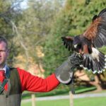 Leeds Castle Admission - Ultimate Explorer Tickets - Who Will Love This Experience?