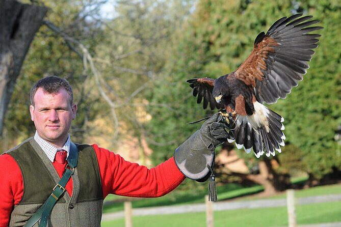 Leeds Castle Admission - Ultimate Explorer Tickets - Who Will Love This Experience?