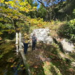 Lefkada: Path of Springs Hike with Olive Oil Tasting - FAQ