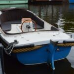 Leiden: Boat rental - 2 hours - max 6 people - Enviso - Who Should Book This Experience?