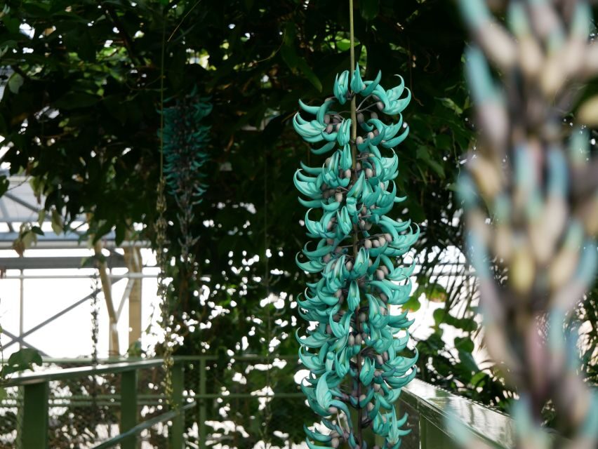 Leiden: Hortus botanicus Leiden Entry Ticket - The Sum Up