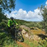 Leiria E-bike and Castel tour - The Inclusions: What You’re Getting