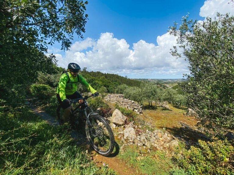 Leiria E-bike and Castel tour - The Inclusions: What You’re Getting