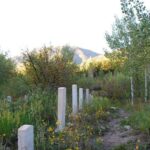 Leisure Hike - East Aspen Hunter Creek - What to Expect from the Tour