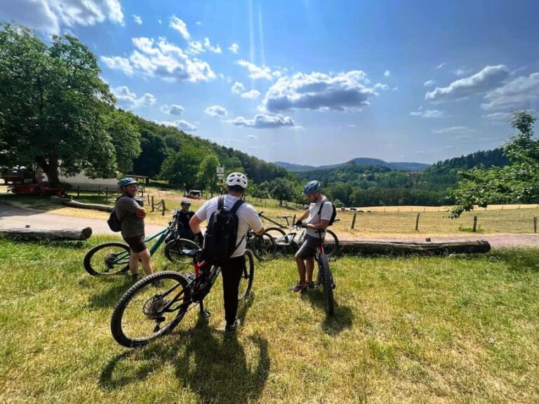 Lembach: Electric mountain bike rental by the day - The Route and What to Expect