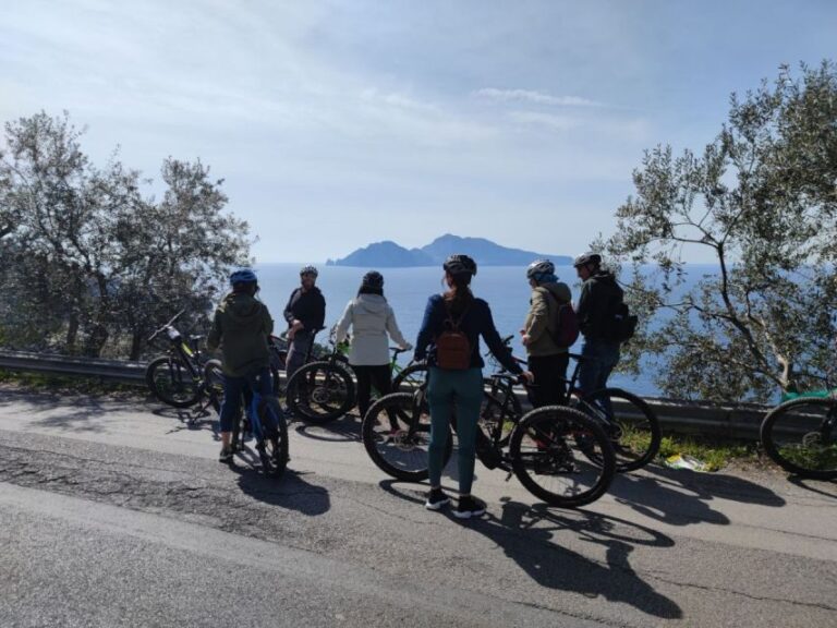 Lemon Nursery & Limoncello: Sorrento E-Bike Tour - Lemon Products and Tasting