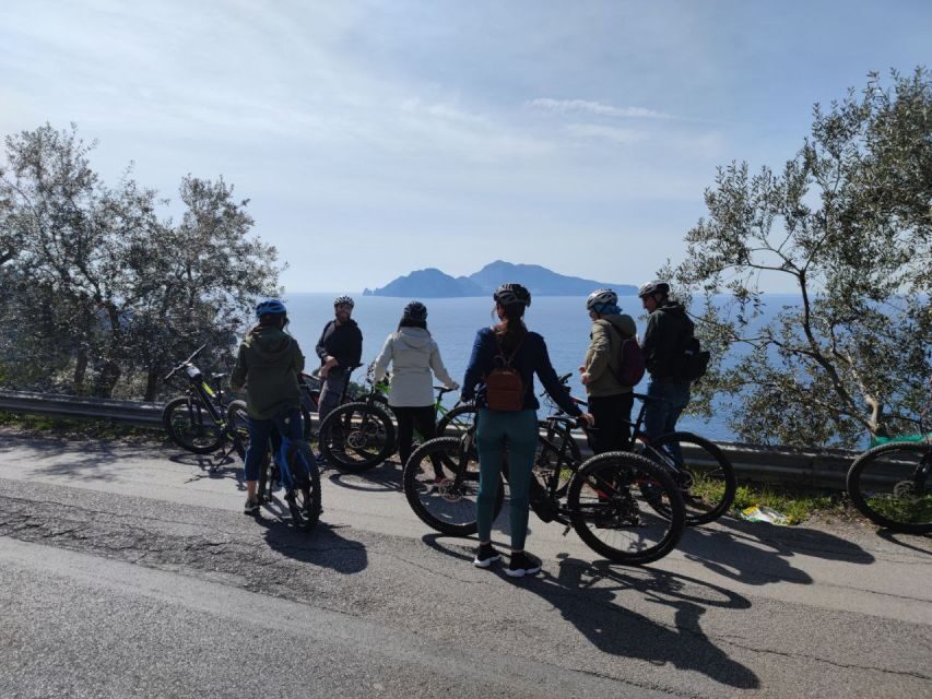 Lemon Nursery & Limoncello: Sorrento E-Bike Tour - Lemon Products and Tasting