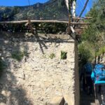 Lemon Path Tour with Tasting Session and Transfer from Positano - Final Thoughts: Is this tour right for you?