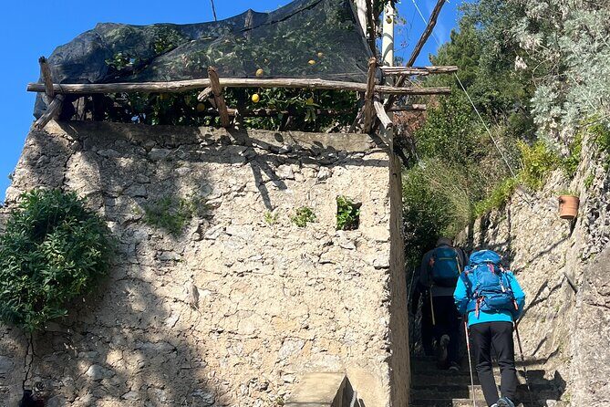 Lemon Path Tour with Tasting Session and Transfer from Positano - Final Thoughts: Is this tour right for you?