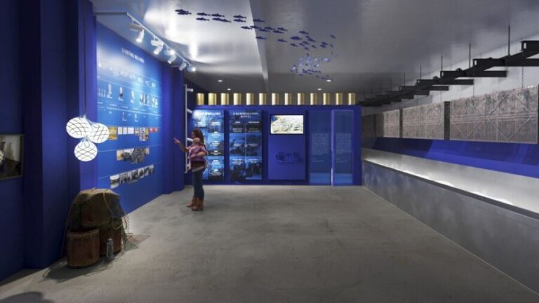 L'Escala: SOLÉS Anchovy Factory-Museum Admission and Tasting - Is It Worth It?