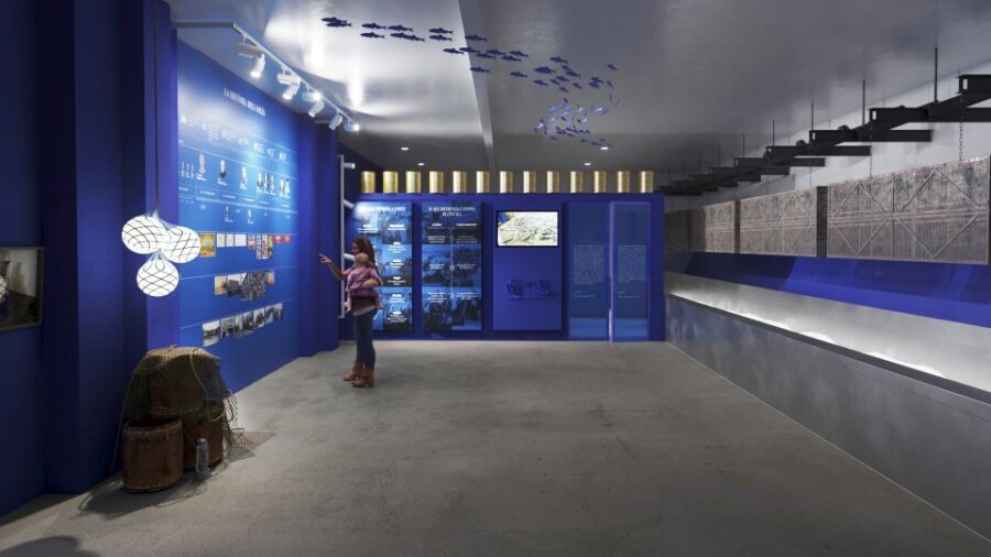 L'Escala: SOLÉS Anchovy Factory-Museum Admission and Tasting - Is It Worth It?