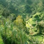 Levada da Referta - Exploring Levada da Referta: A gentle walk with rewarding views