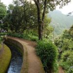 Levada do Norte - The Value of the Experience