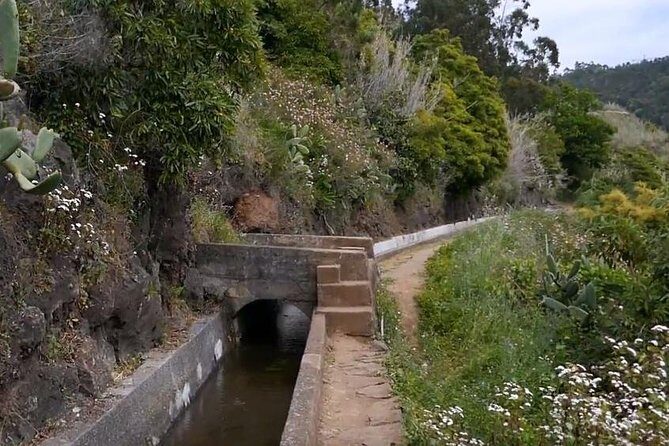 Levada do Norte Quinta Grande Levada walk - Final Thoughts: Is It Worth It?