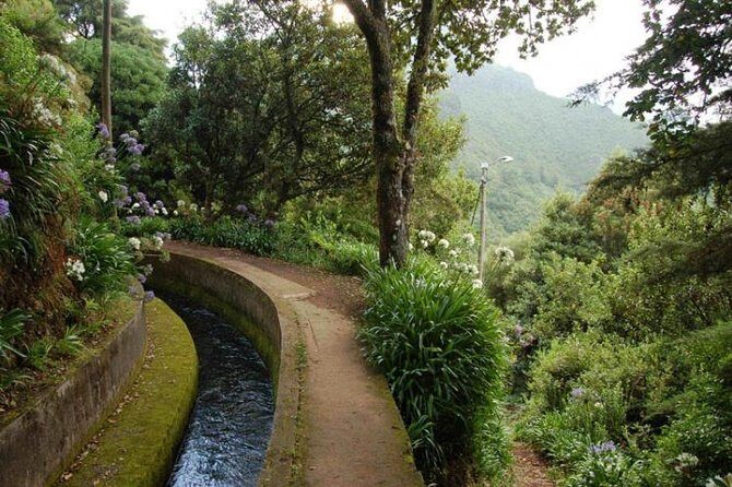 Levada do Norte - The Value of the Experience