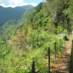 Levada do Rei - Ribeiro Bonito (Full Day Walk) - The Experience Feel: Views, Vegetation, and Atmosphere
