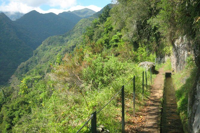 Levada do Rei - Ribeiro Bonito (Full Day Walk) - The Experience Feel: Views, Vegetation, and Atmosphere