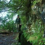 Levada Walk and Caldeirao Verde Waterfalls: Madeira - The Experience on the Ground