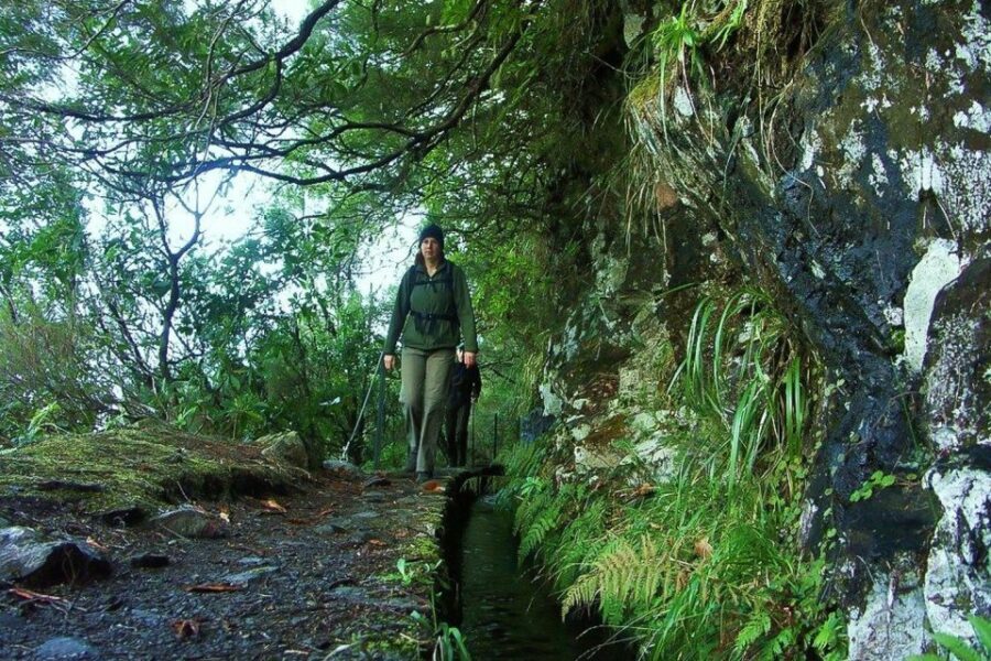 Levada Walk and Caldeirao Verde Waterfalls: Madeira - The Experience on the Ground