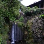 Levada Walk from Ribeiro Frio to Portela - The Practicalities: What You Need to Know