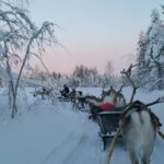 Levi: 3km Reindeer Sleigh Ride in the forest at night - Practical Considerations
