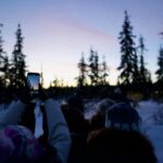 Levi: 5km Self-Driven Husky Sledge Safari - Is It Worth It?