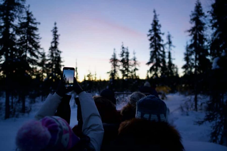 Levi: 5km Self-Driven Husky Sledge Safari - Is It Worth It?