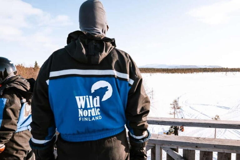Levi: 6 Hour Authentic Snowmobile Safari to Lappish Villages - What’s Included and What’s Not