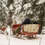 Levi: Authentic Reindeer Sled Ride with Photographer - The Itinerary in Detail