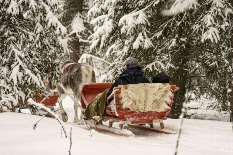 Levi: Authentic Reindeer Sled Ride with Photographer - The Itinerary in Detail