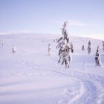 Levi: Backcountry Skiing Adventure - The Experience in Detail