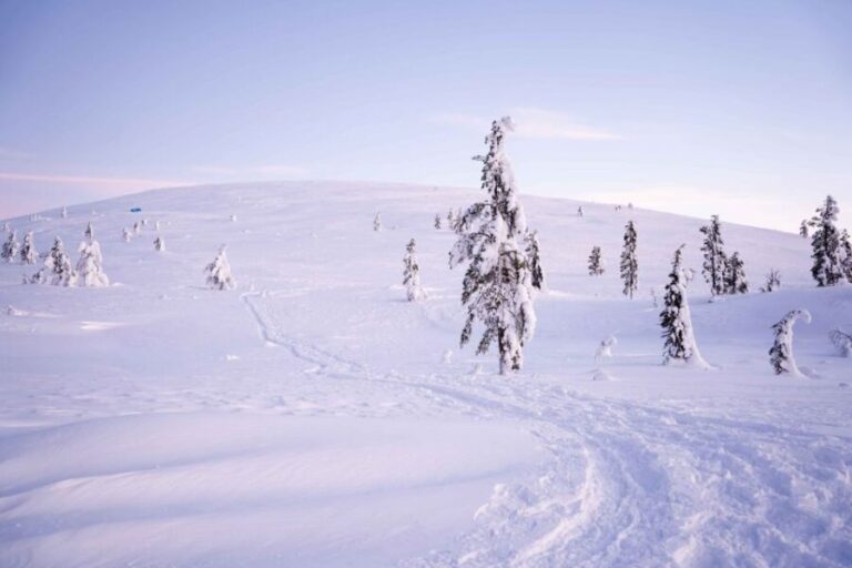 Levi: Backcountry Skiing Adventure - The Experience in Detail